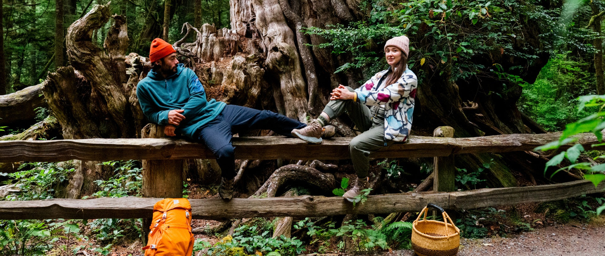 A man and a woman sitting on a wooden fence in front of a huge tree