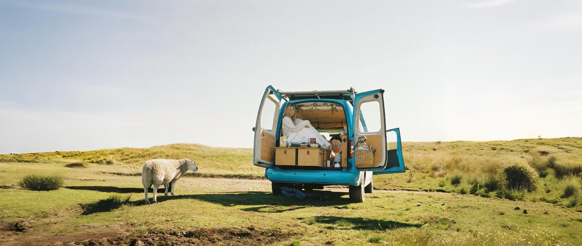 A woman sits in the back of a converted blue VW Caddy Maxi with the doors open. A sheep stands nearby, she's parked in a field