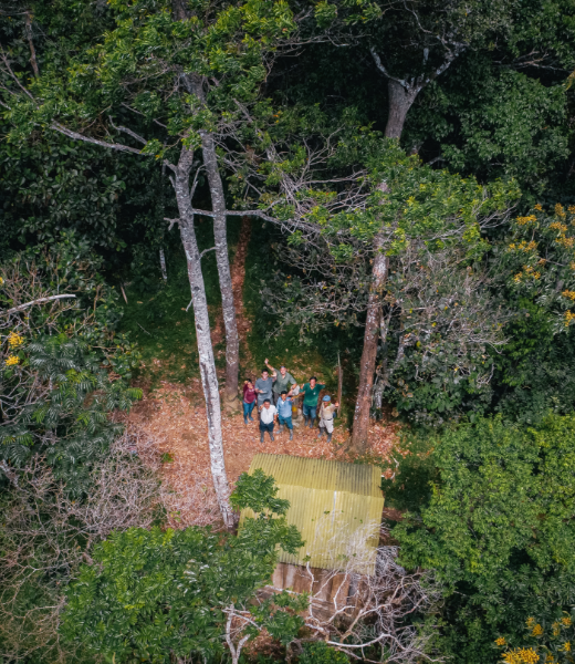Protection des forêts tropicales