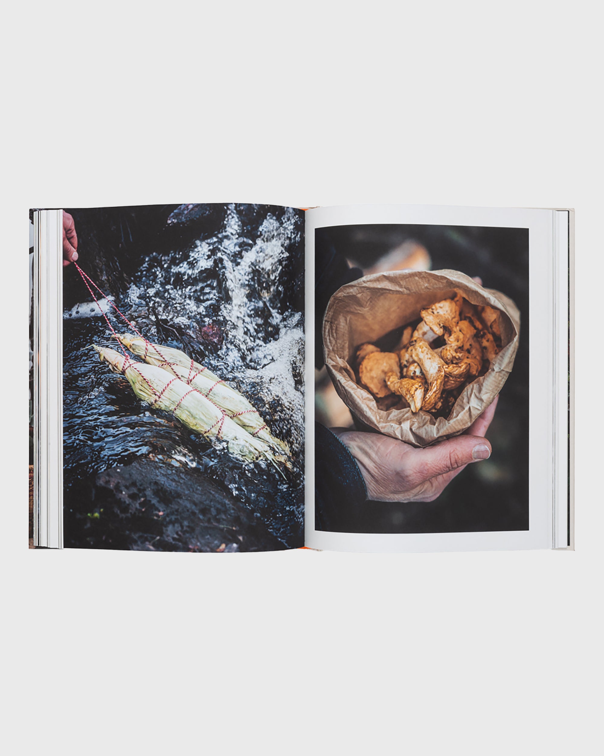 Cooking Greens On Fire - Flatlay