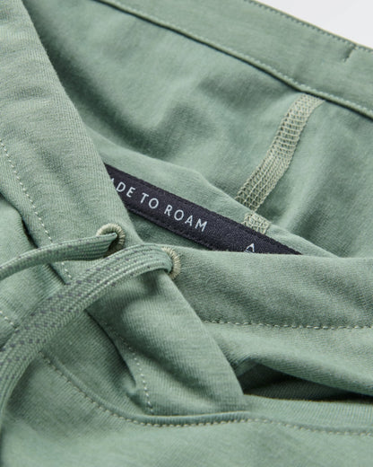 Roamscreen UPF50 Drirelease® Men's Hoodie - Pistachio - Flatlay