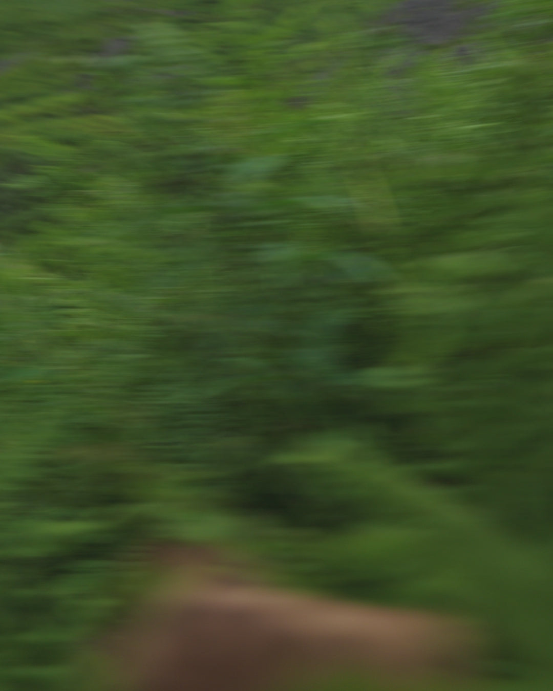 Trailscape Women's Waterproof Jacket - Stormy Blue/Pistachio - Lifestyle